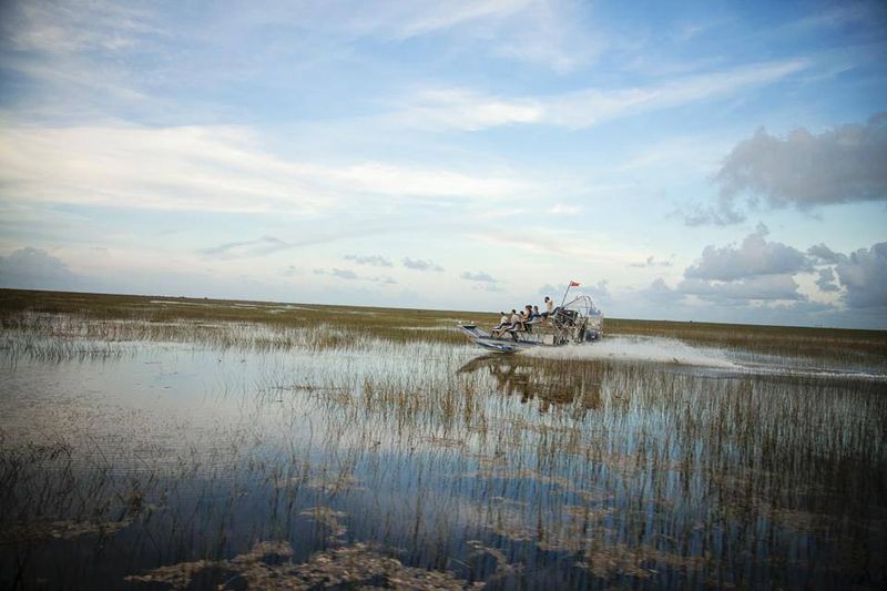 Photo by: Sawgrass Recreation Park