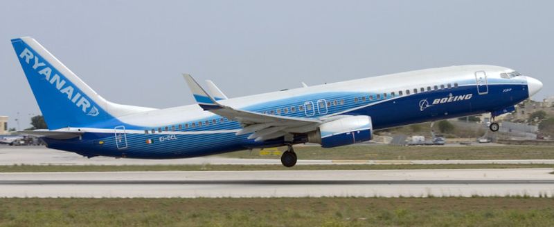 InsectWorld / Shutterstock.com