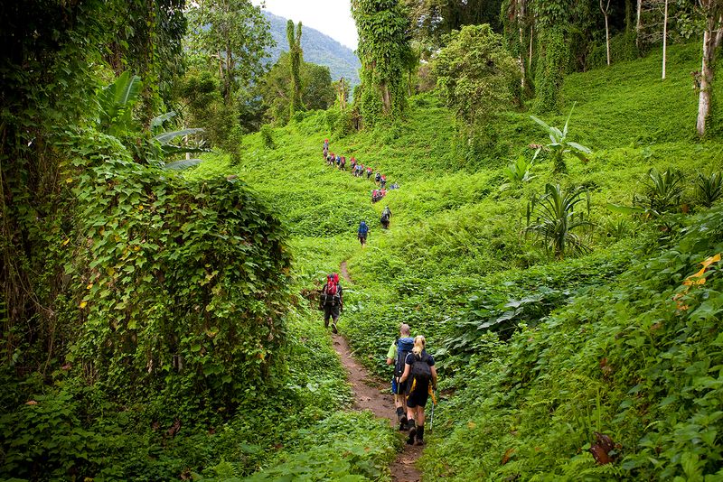 Toughest hiking trails in the clearance world