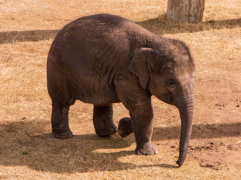 Oklahoma City Zoo