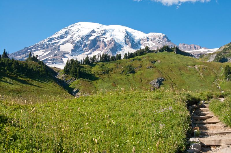 Skyline Trail Washington