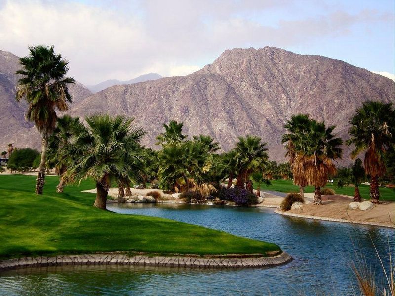 Photo by: The Springs at Borrego