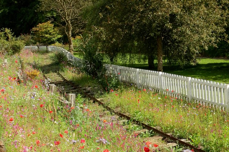 Photo by: Terry Madeley via Flickr