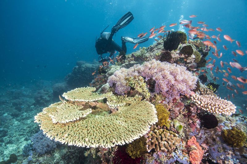 Great Barrier Reef