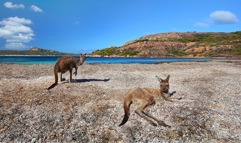 Kangaroo Island