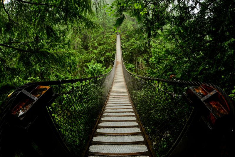 Lynn Canyon Bridge, BC