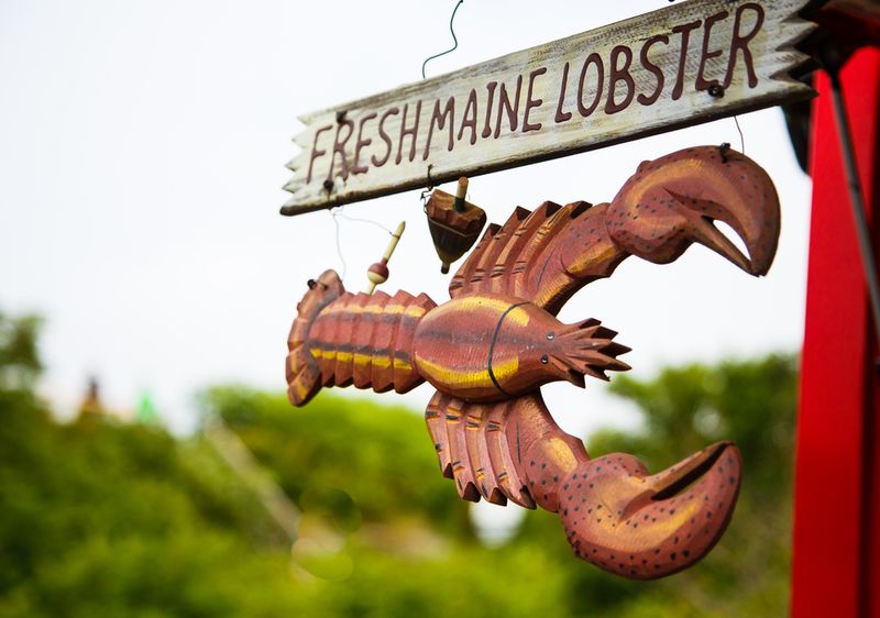 Maine Lobster