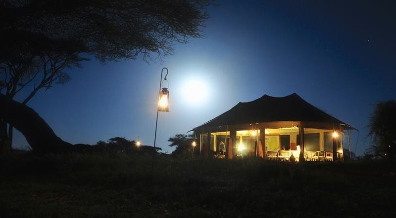 Photo by: Namiri Plains