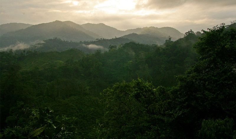 Photo by: Rainforest Alliance