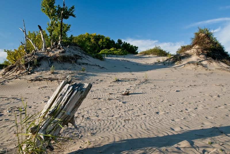 Sandbanks Park