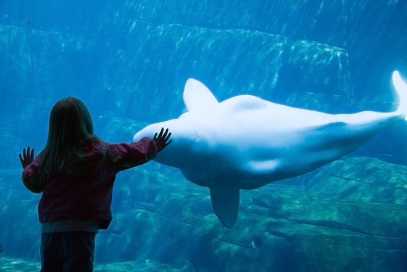 Vancouver Aquarium