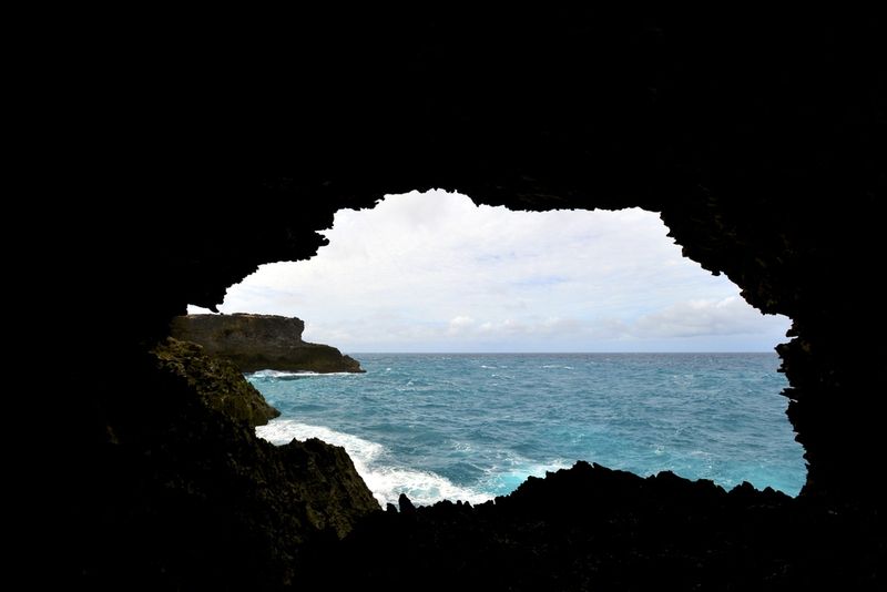 Animal Flower Cave