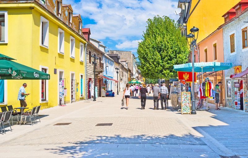 eFesenko / Shutterstock.com