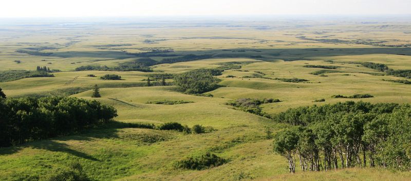 Cypress Hills Interprovincial Park