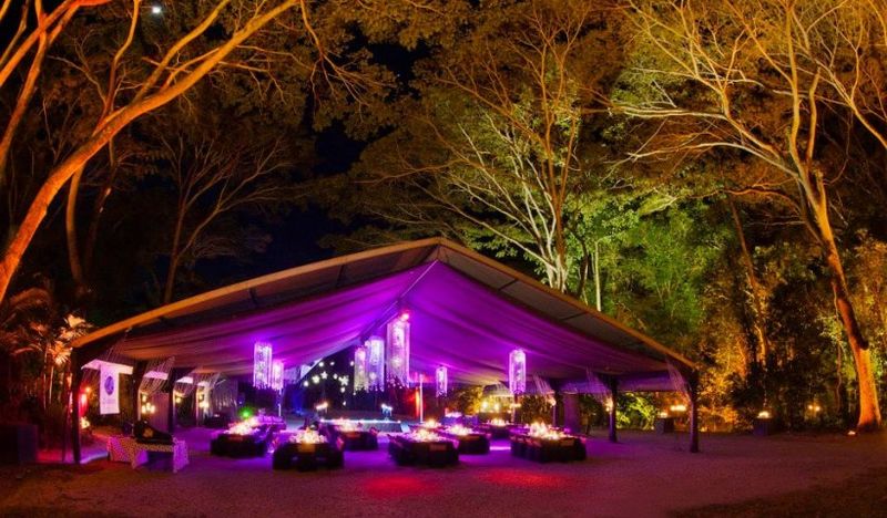 Photo by: Flames of the Forest