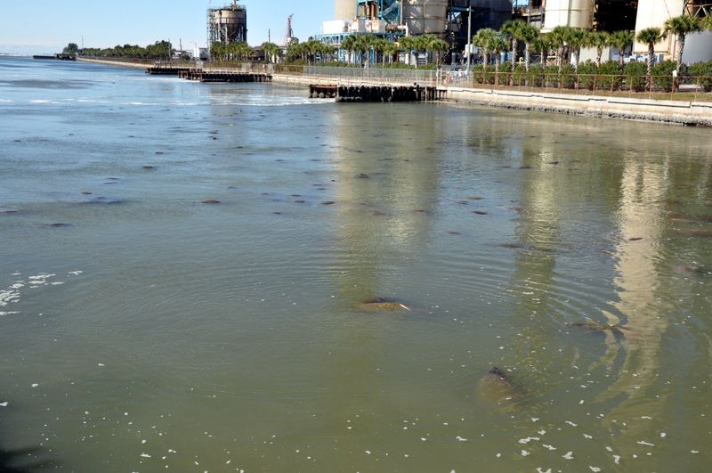 Photo by: Walter via Flickr