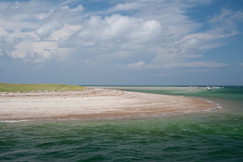 Meadow Beach, Cape Cod