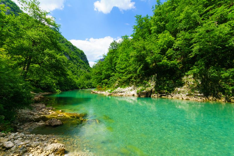 Tara River Canyon, Montengro