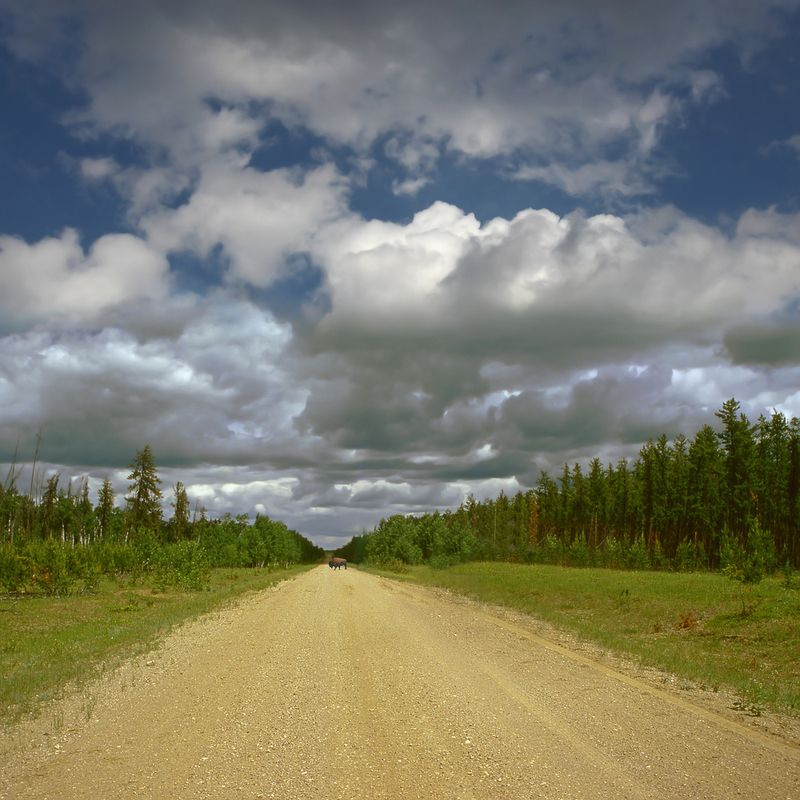 Wood Buffalo National Park