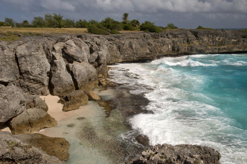 cove barbados