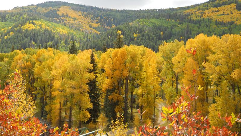 8 Best Places in the US to Watch Fall Foliage | MapQuest Travel