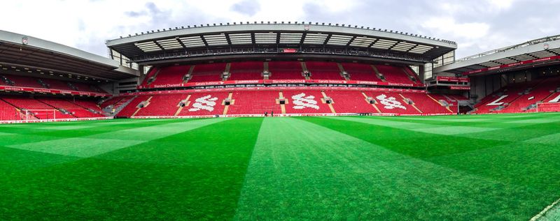 nui7711 / Shutterstock.com