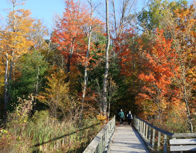 Charleston Lake Provincial Park