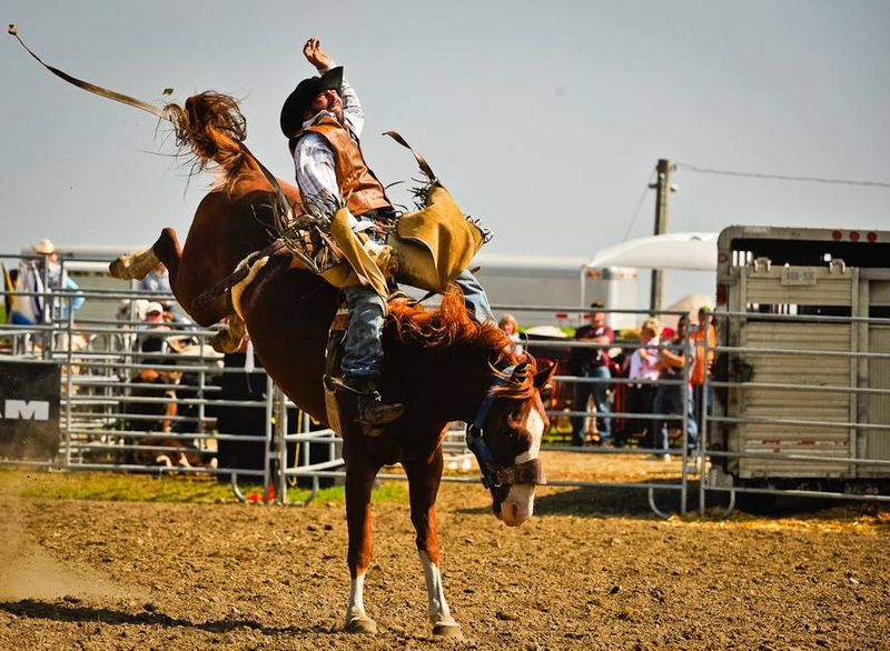 Photo by: International Plowing Match