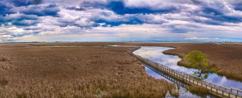 Point Pelee National Park, Ontario