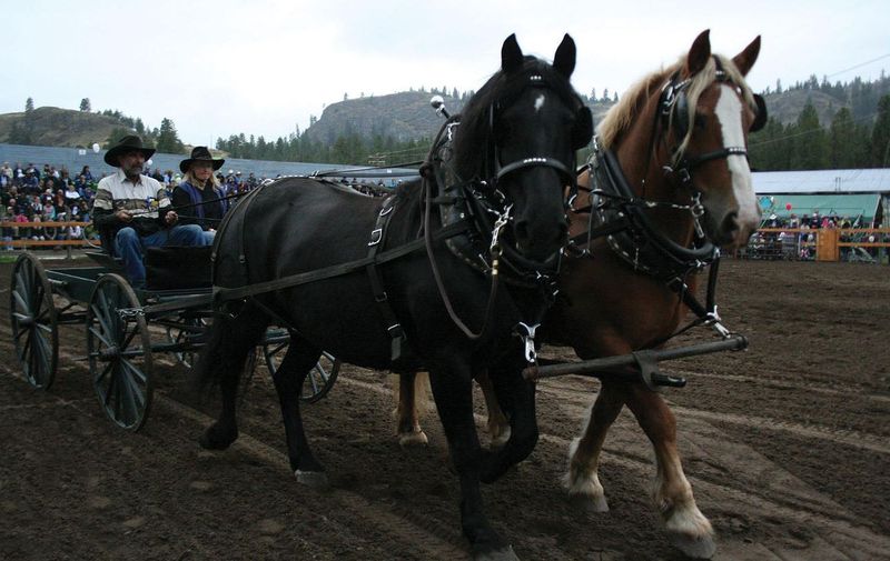 Photo by: Rock Creek Fall Fair