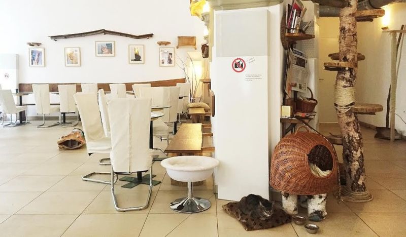 Photo by: American in Vienna