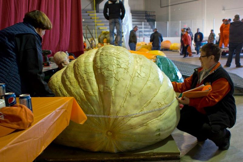 Photo by: Smoky Lake Great White North Pumpkin Fair