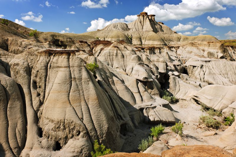 Badlands Dinosaur Provincial Park