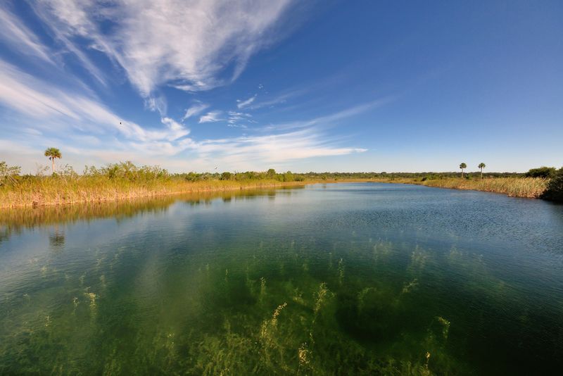 Everglades National Park Florida