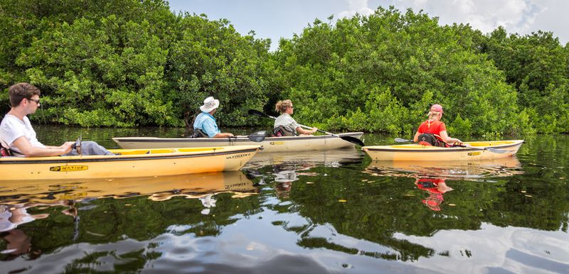 Florida Everglades