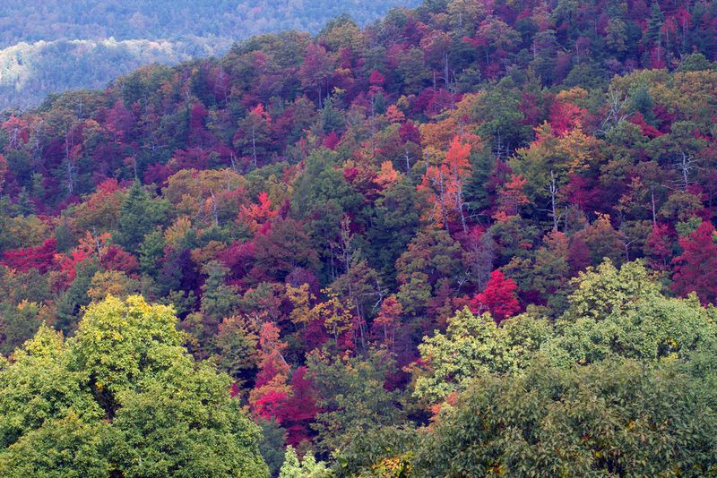 Great Smoky Mountains National Park North Carolina