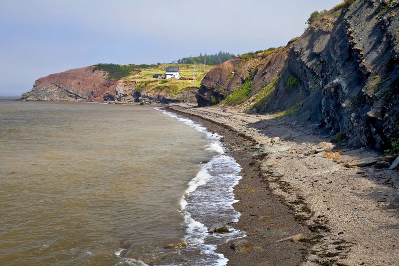 Joggins Fossil Cliffs