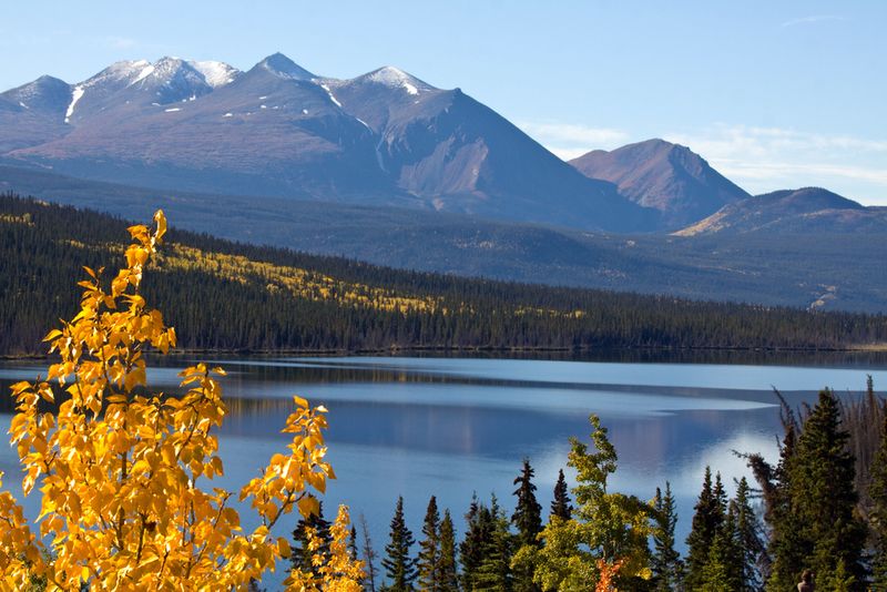 Kluane Park