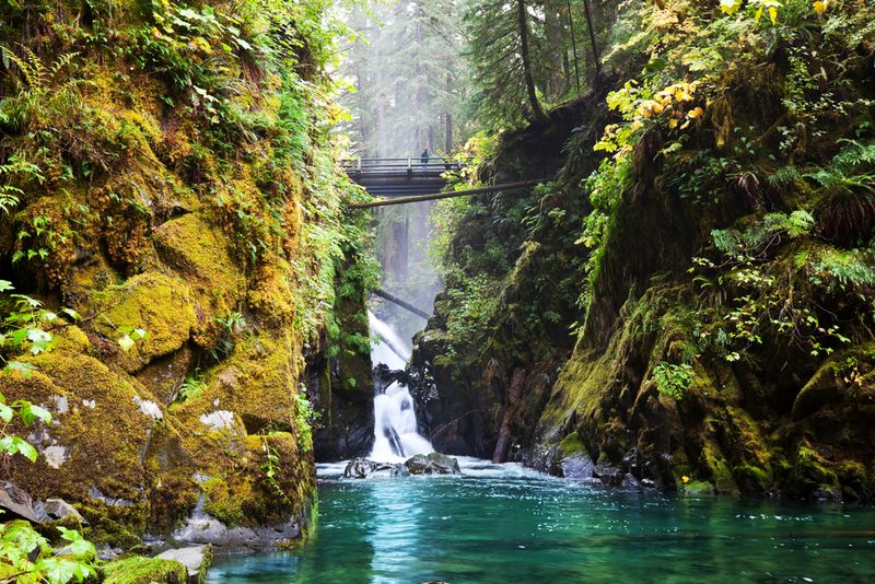 Olympic National Park Washington