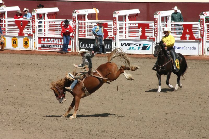 The Greatest Things to See and Do in Calgary | MapQuest Travel