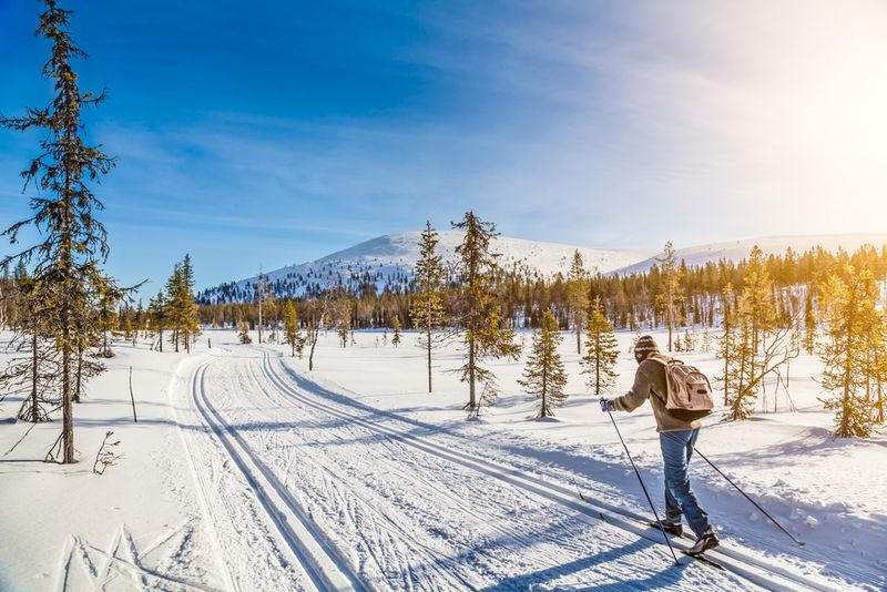 Cross Country Skiing