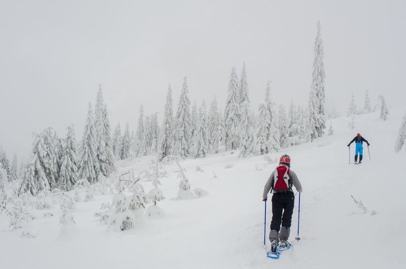 The 10 Best Winter Sports and Where to Find Them | MapQuest Travel