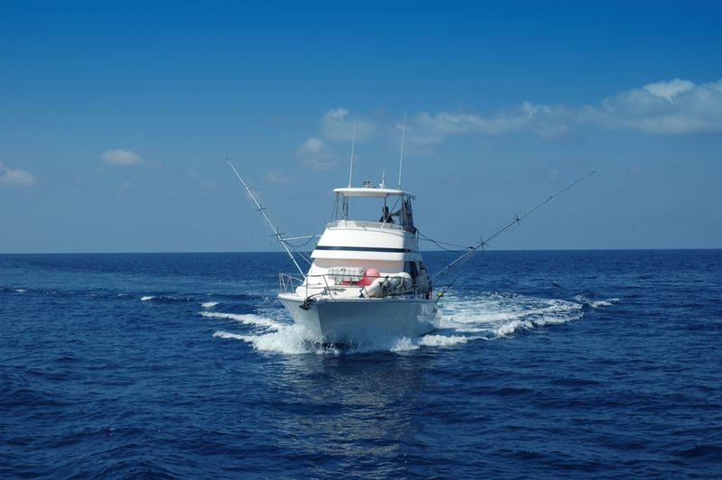 Fishing Charter Florida