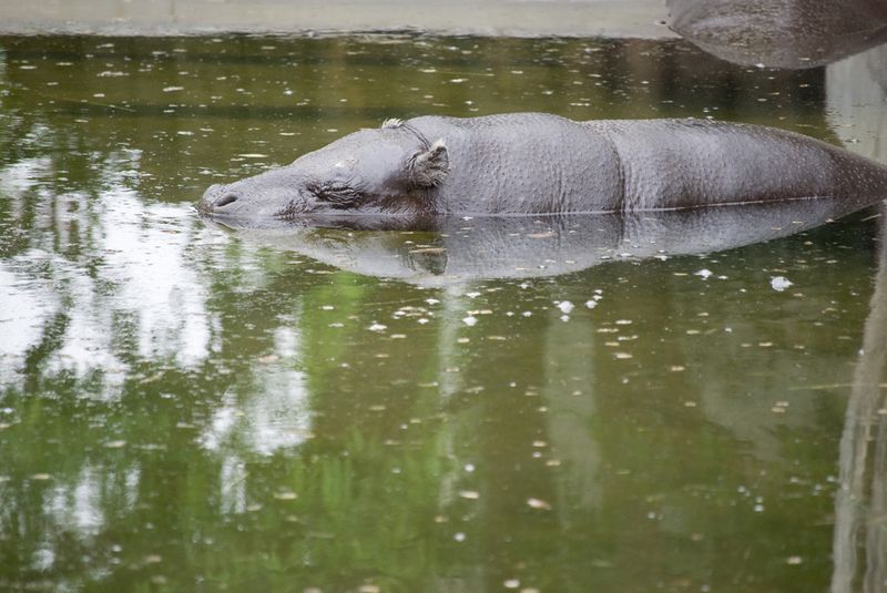 Hogle Zoo Salt Lake City