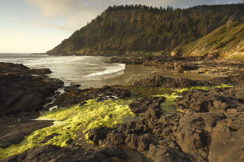 Cape Perpetua Oregon