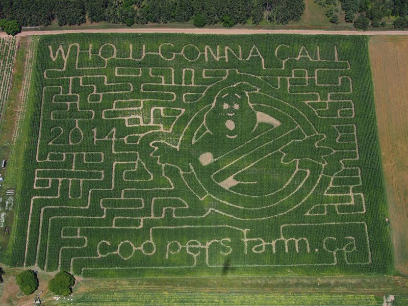 Photo by: Cooper's CSA Farm & Maze