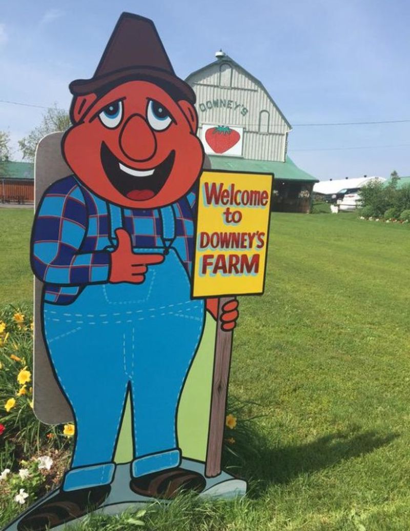 Photo by: Downey's Farm Market