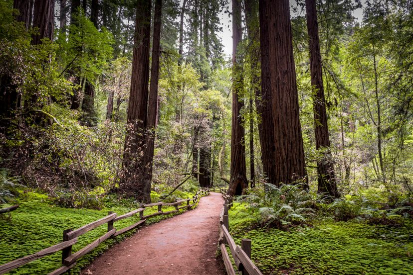 The Top 12 Hiking Trails of the US National Parks | MapQuest Travel