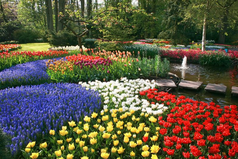 Keukenhof Gardens, Netherlands