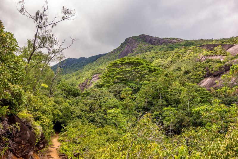 Morne Seychellois National Park